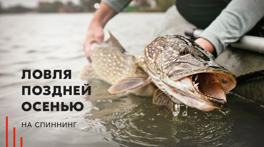 Ловля поздней осенью на спиннинг Ловля поздней осенью на спиннинг