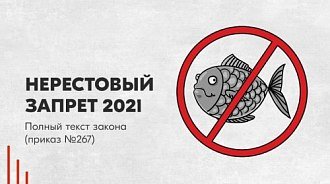 Нерестовый запрет 2021: полный текст закона (приказ № 267)