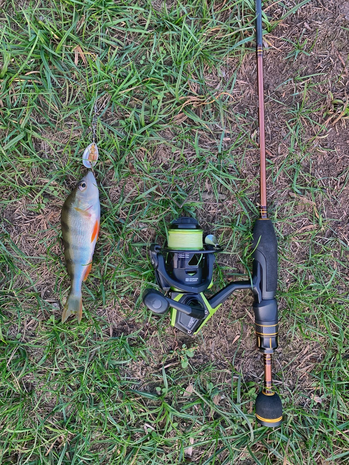 Nautilus micro baits. Спиннинг Nautilus Micro Baits NMB-s602sul 183см 0.8-3.0гр, шт. Nautilus varvar Jig.
