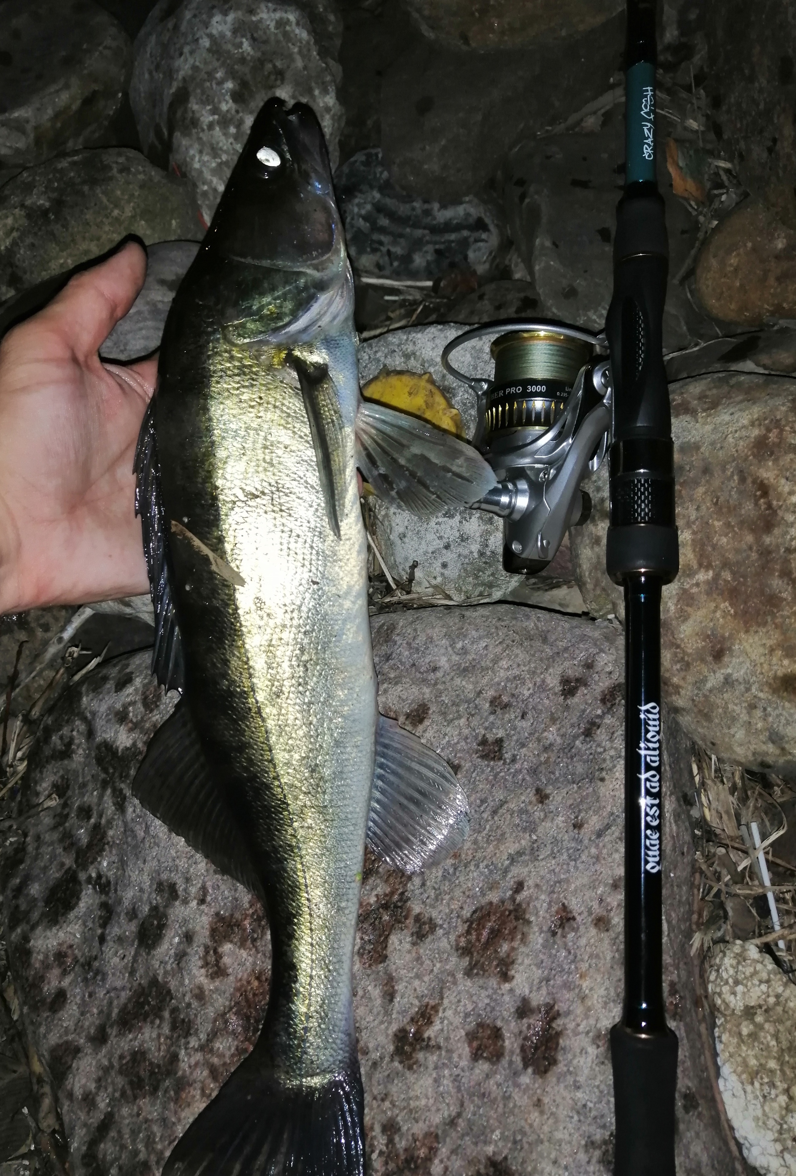 Спиннинг Crazy Fish Versus VSR802MLT 244см 6гр 2\