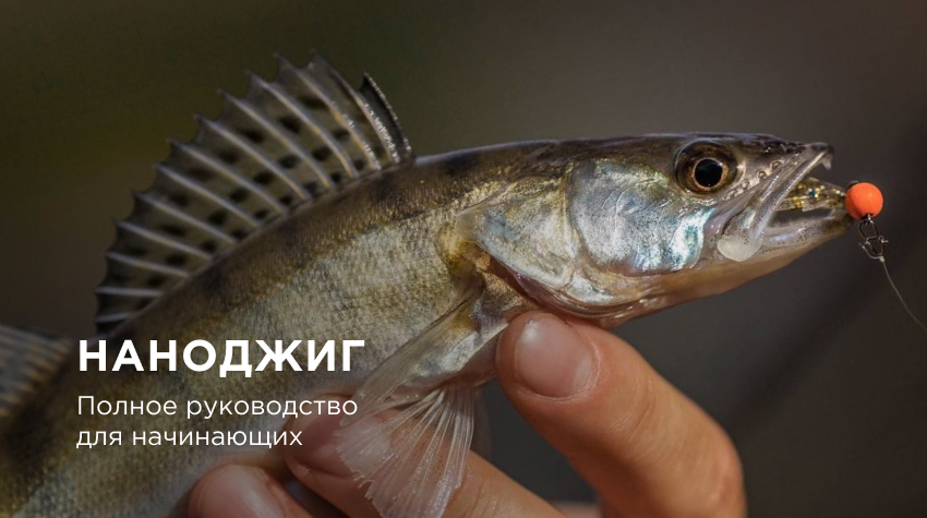 Наноджиг: руководство для начинающих Наноджиг: руководство для начинающих