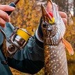 Рыбалка осенью: какую рыбу ловить. На что ловить осенью