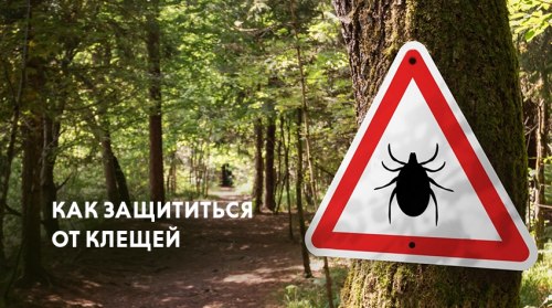 Защита от клещей: одежда, репелленты, меры предосторожности