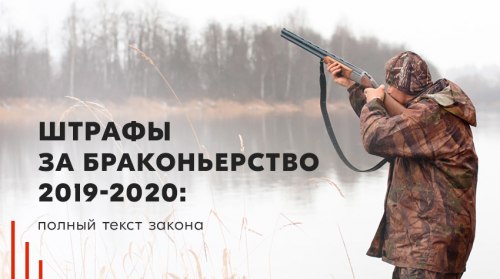 белореченск мир охоты
