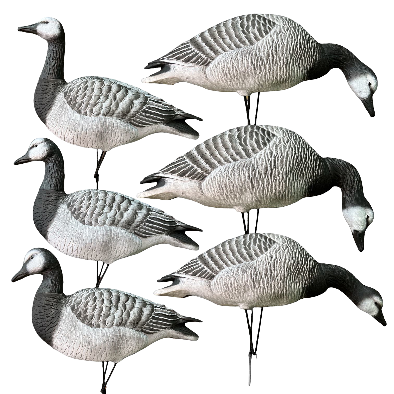 Чучело Oscar Decoys Казарка Гусь Avian-Mix Elite 3D 6 шт 3кор 2отд 1стор EBG6 - фото 1