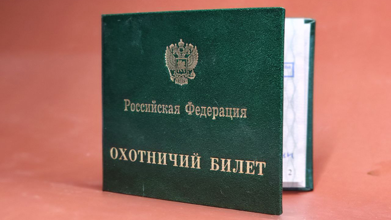 Как получить охотничий билет Как получить охотничий билет