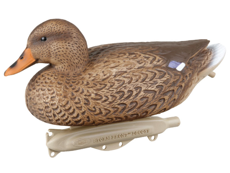 Где Можно Купить Подсадную Утку