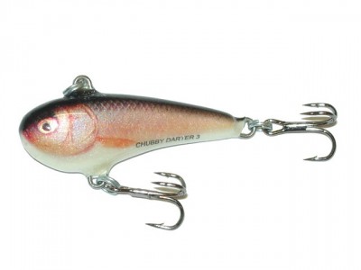 Воблер Salmo Chubby darter CD4-RR - фото 1