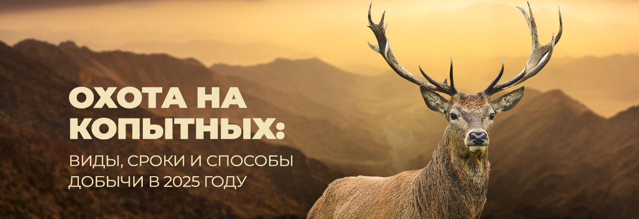 Охота на копытных: виды, сроки и способы добычи в 2025 году Охота на копытных: виды, сроки и способы добычи в 2025 году