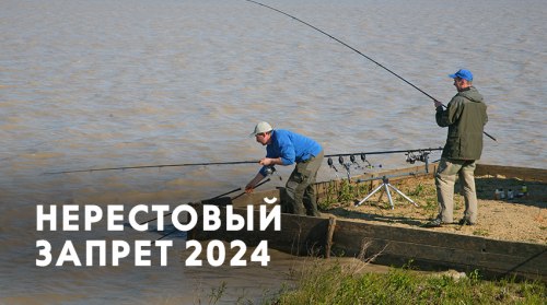 Нерестовый запрет 2024 в ставропольском крае