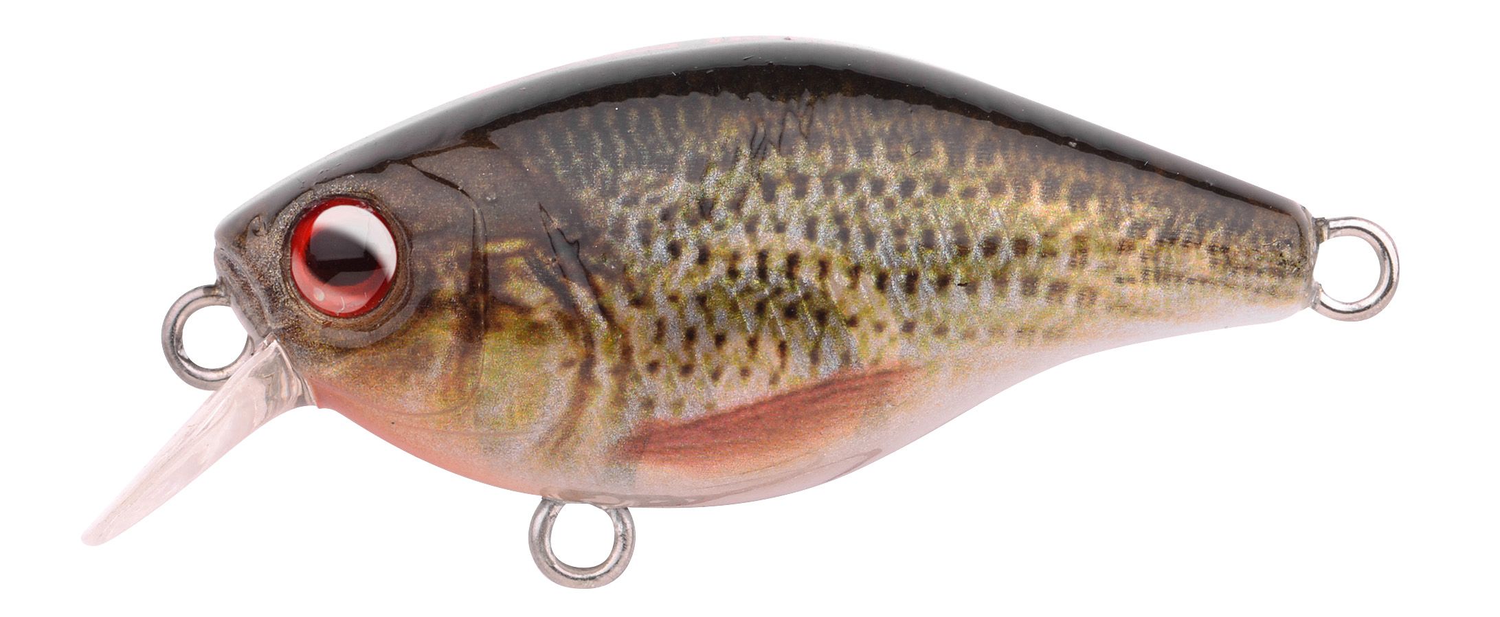 Воблер SPRO Ikiru Mini Crank Roach 3,8 см F SL          - фото 1