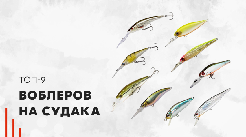 ТОП-9 воблеров на судака ТОП-9 воблеров на судака