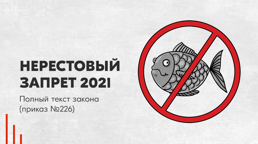 Нерестовый запрет 2021: полный текст закона (приказ № 226)