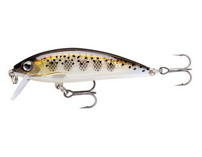 Воблер Rapala X-Rap Countdown XRCD05 MD - фото 1