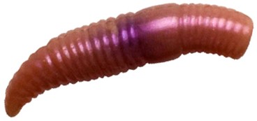 Приманка Crazy Fish Baby worm 1.2"MF  65-30-52-7 12шт. - фото 1