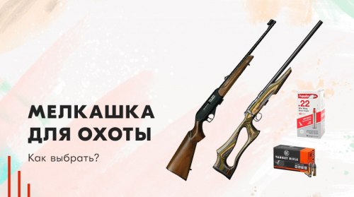 мелкашка на охоте разрешена