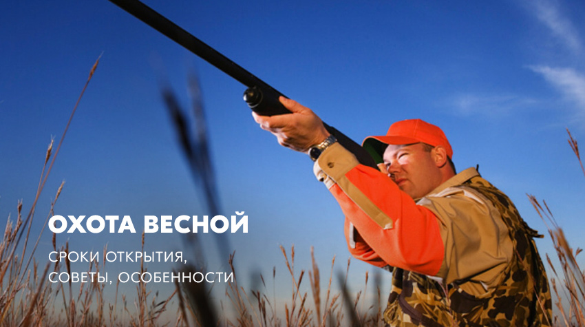 Охота весной: сроки, советы, особенности Охота весной: сроки, советы, особенности