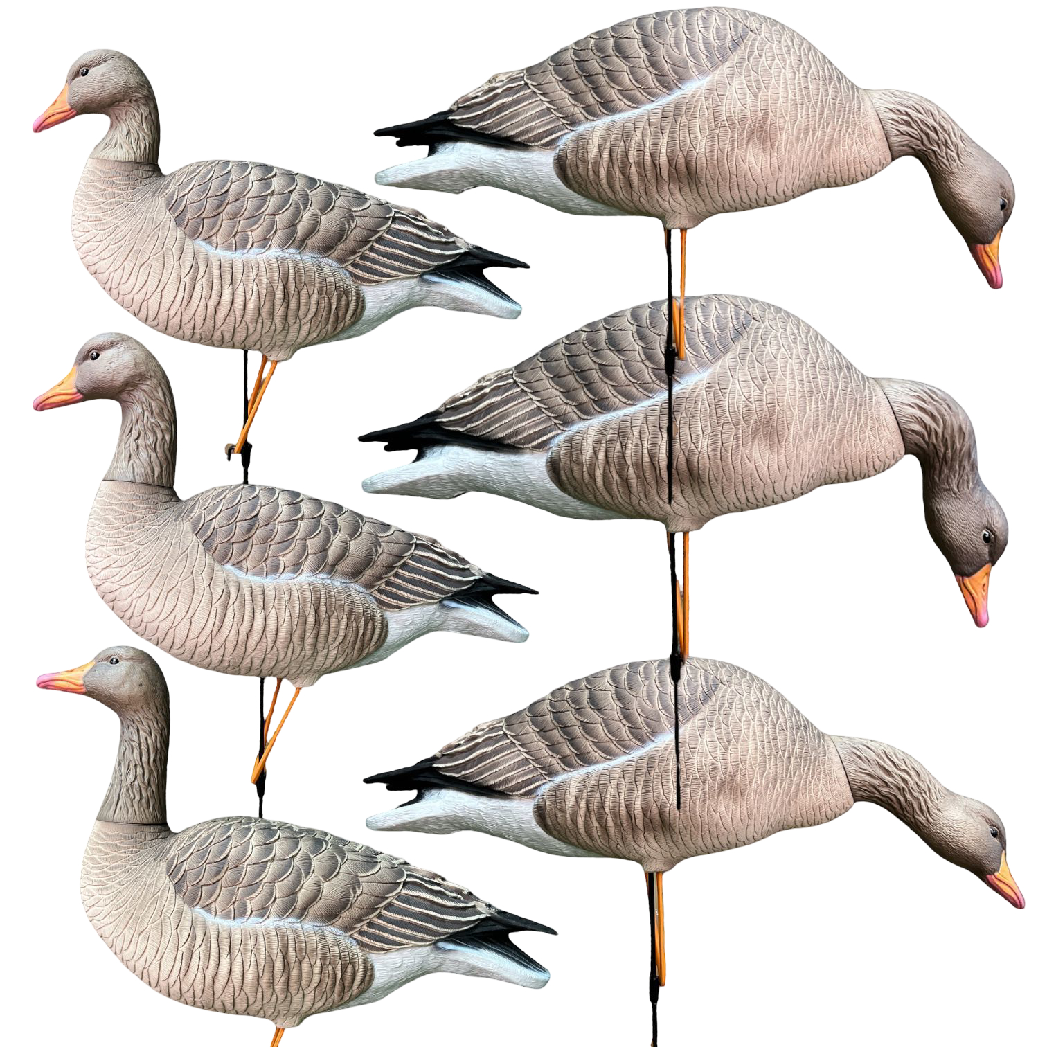 Чучело Oscar Decoys Махокрыл Серый гусь Elite 3D Greylag Goose мягкий MGG10 - фото 1