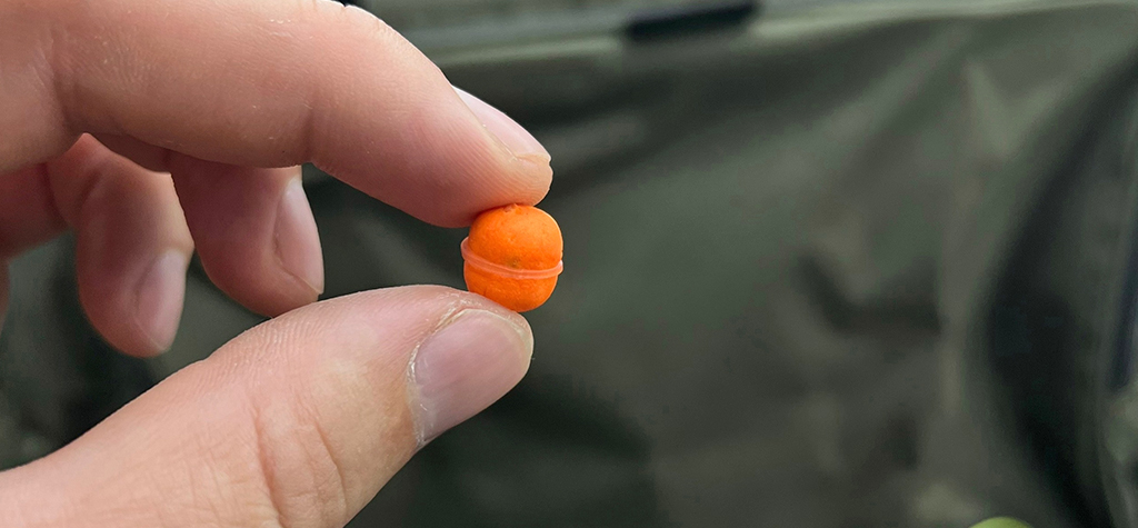 Новинка: мини-бойлы на резинке Lion Baits Новинка: мини-бойлы на резинке Lion Baits