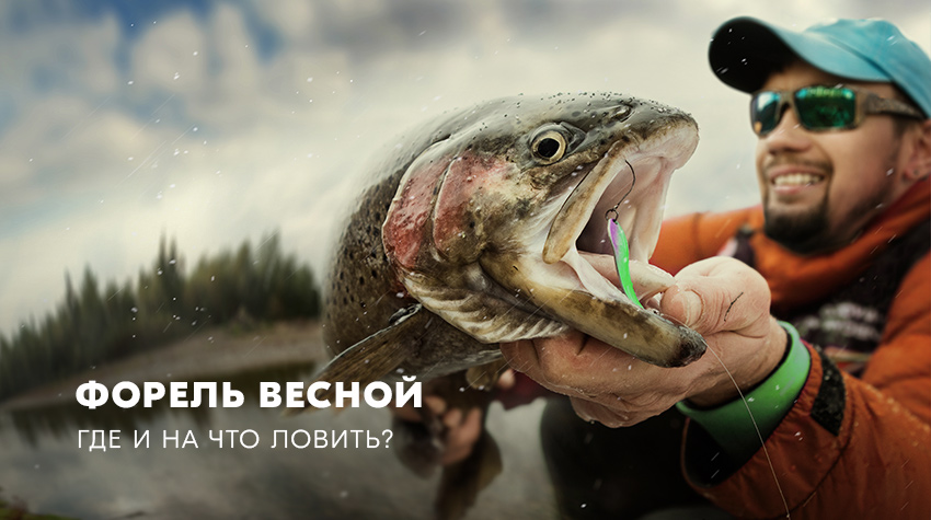 Форель весной: где и на что ловить?