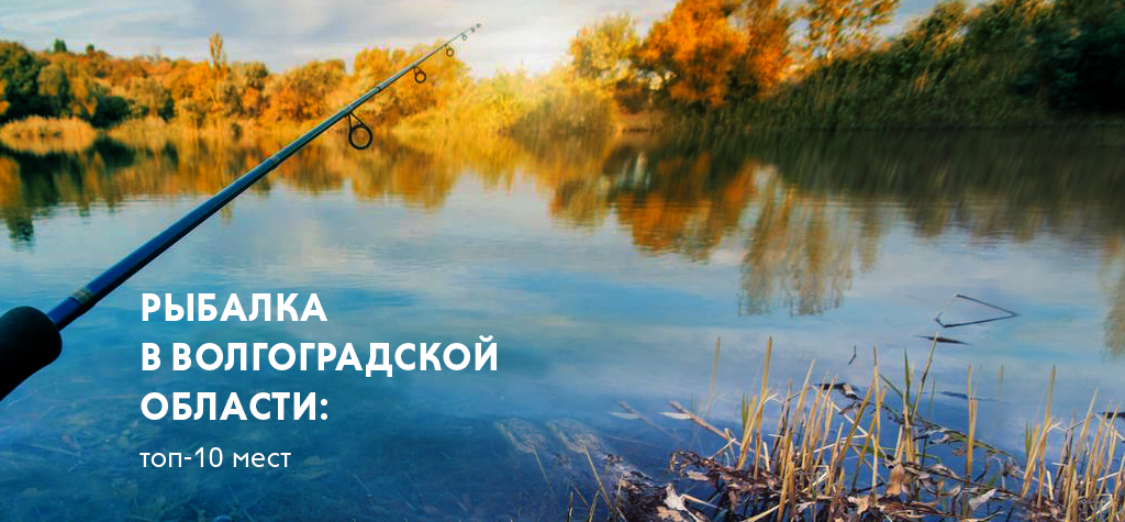 Рыбалка в Волгоградской области: топ-10 мест Рыбалка в Волгоградской области: топ-10 мест