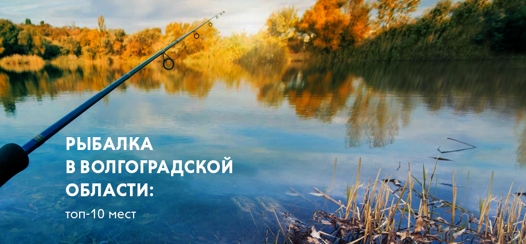 Рыбалка в Волгоградской области: топ-10 мест