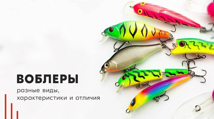 Виды воблеров: Minnow, Crank, Walker, Shad, Popper и Rattlin. Чем отличаются и какие лучше?