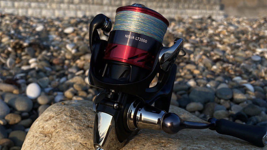 Катушка Daiwa Ninja LT2000 на Черноморском побережье Катушка Daiwa Ninja LT2000 на Черноморском побережье