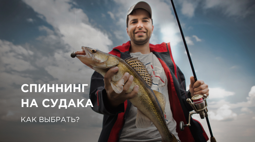 Спиннинг на судака: как выбрать? Спиннинг на судака: как выбрать?