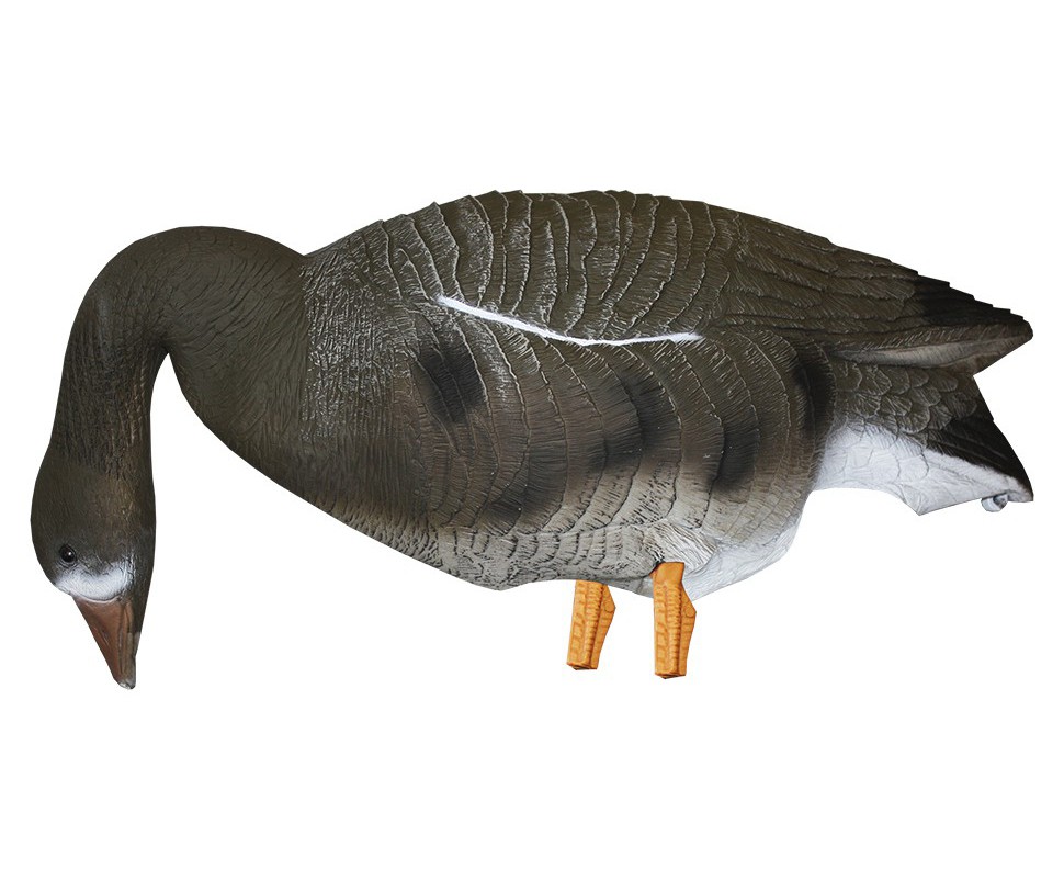 Чучело гуся "белолобый гусь". Fl 540 sport plast. Чучело sport plast "машущий крыльями белолобый гусь", flp940, серый. Спортпласт чучела гусей. Чучела гусей спорт пласт 940.