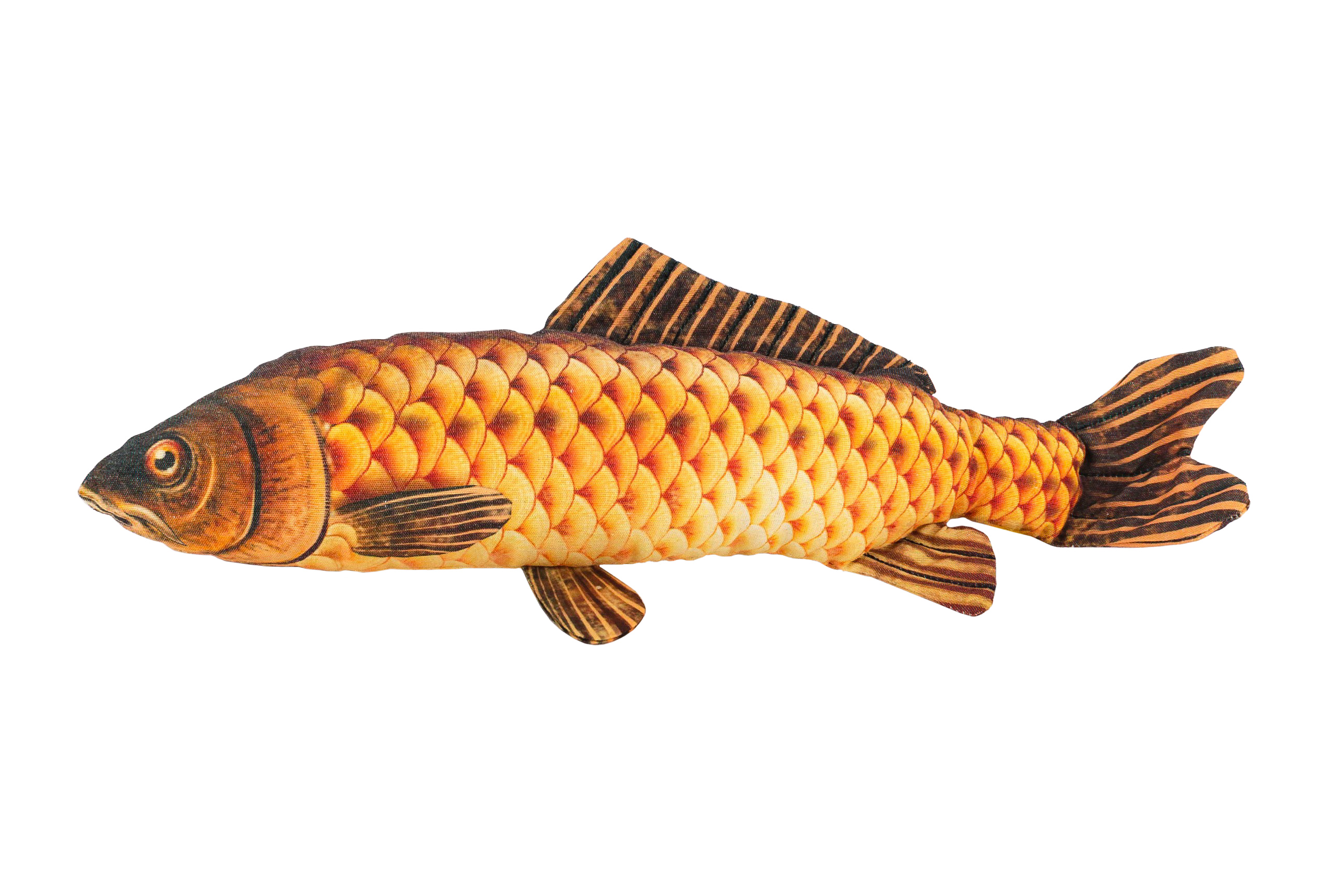 Сазан фазан. Сазан красная рыба. Золотистый сазан. Рыба Карп. Декоративный сазан.