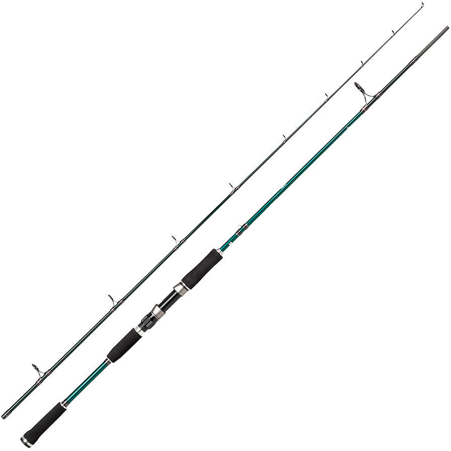 Спиннинг Abu Garcia Beast X Pike 842 H 30-110гр  - фото 1