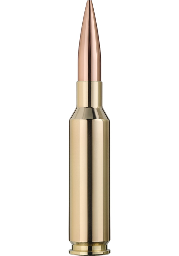 Патрон 6.5 Creedmoor RWS 8,4г Target Elit Plus Match