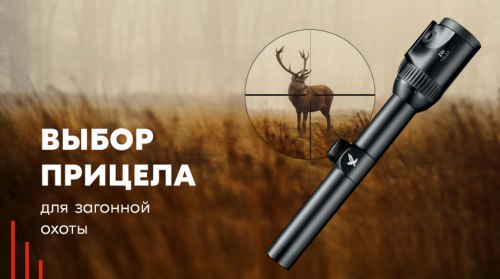 Выбор прицела для загонной охоты и подборка лучших загонников