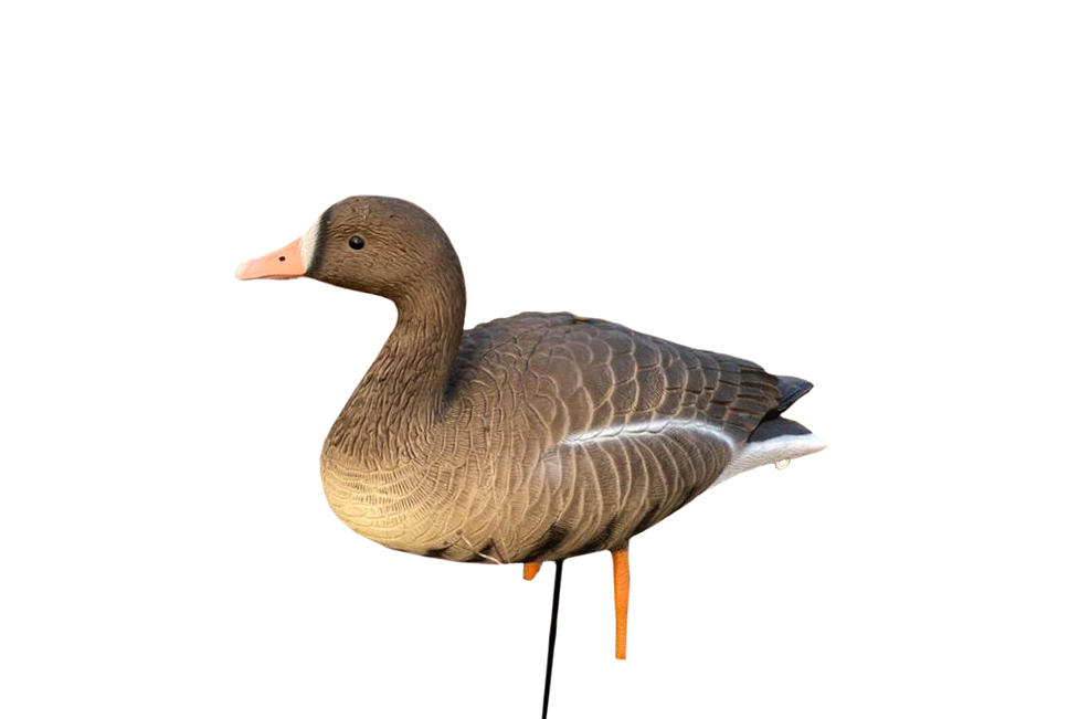 Подсадной гусь Oscar Decoys Elite 3D Speckbelly Goose Белолобый мягкий 10шт - фото 1