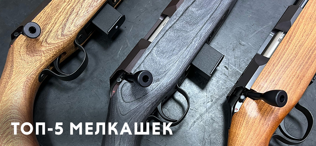 Мелкашки: 5 самых продаваемых моделей Мелкашки: 5 самых продаваемых моделей
