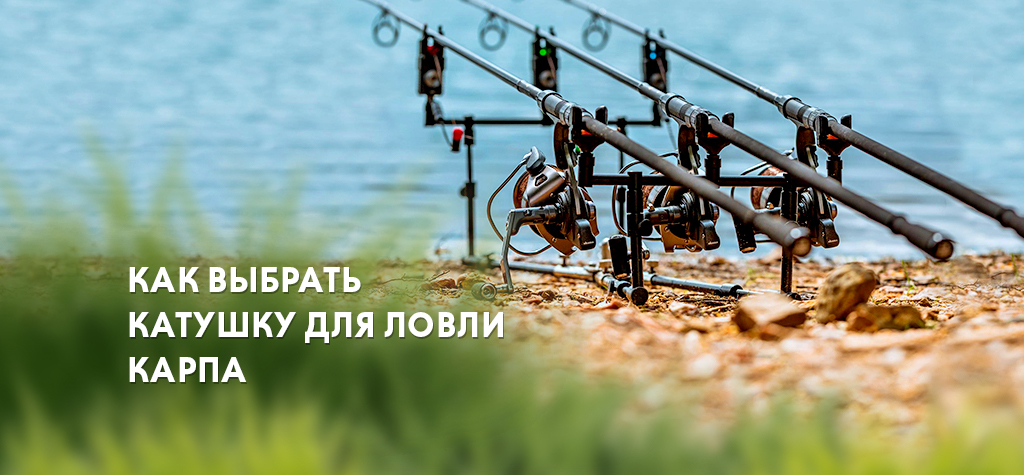 Как выбрать карповую катушку Как выбрать карповую катушку