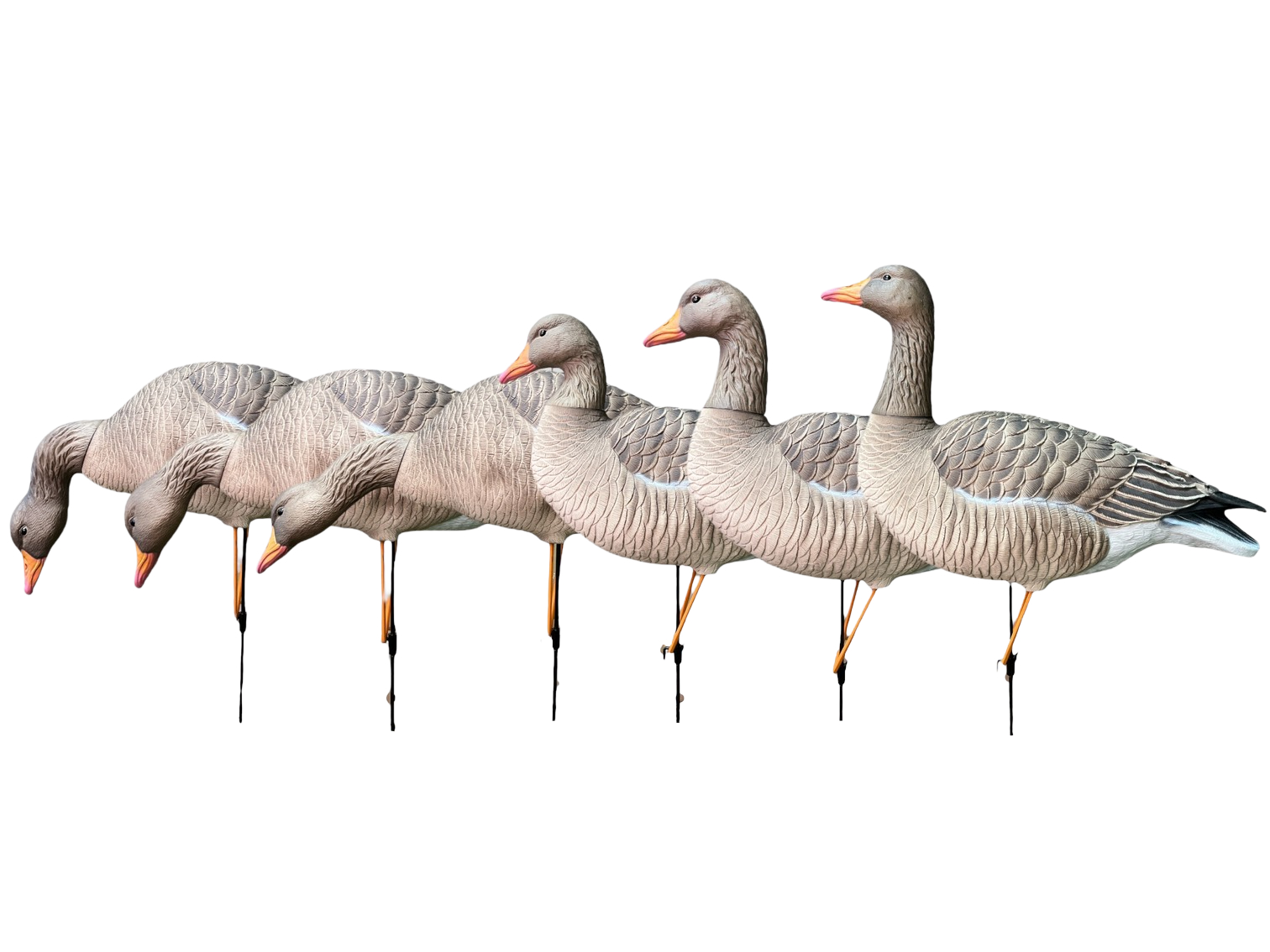 Чучело Oscar Decoys Серый гусь Avian-Mix Elite 3D 6 шт 3корм 2отд 1сторож ELG6 - фото 1