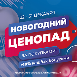 Новогодний ценопад