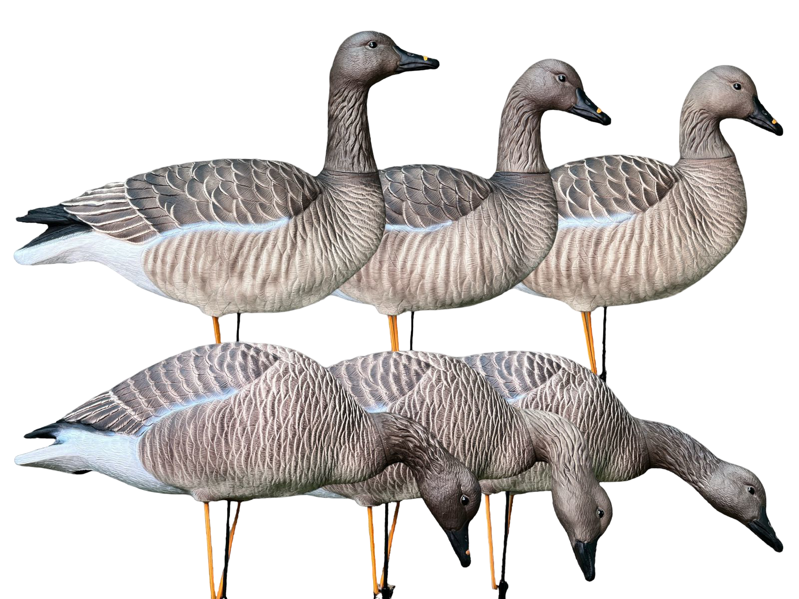 Чучело Oscar Decoys Гуменник гусь Avian-Mix Elite 3D 6 шт 3корм 2отд 1стор EGG6 - фото 1