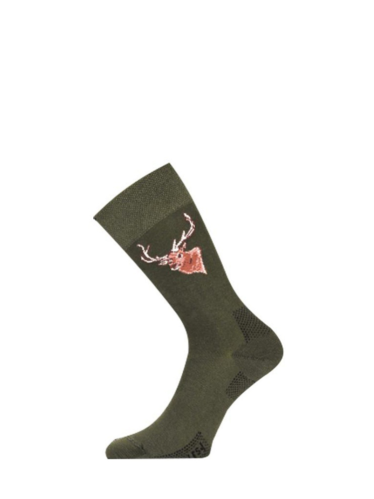 Носки Lasting LFSJ 620 cotton+polyamide зеленый с рисунком - фото 1