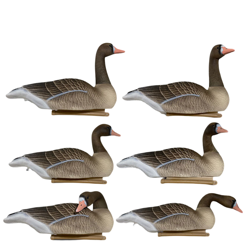 Чучело Oscar Decoys Белолобый гусь Floater Speckbelly Goose мяг плав 6шт FSG-3D - фото 1