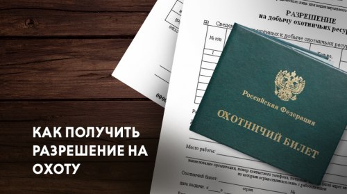 Порядок рассмотрения заявления на оформление прописки в паспорте