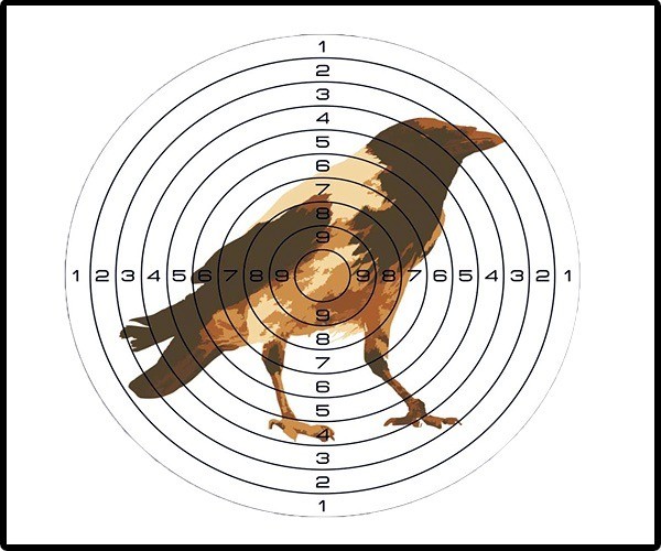 Мишень Ворон - фото 1