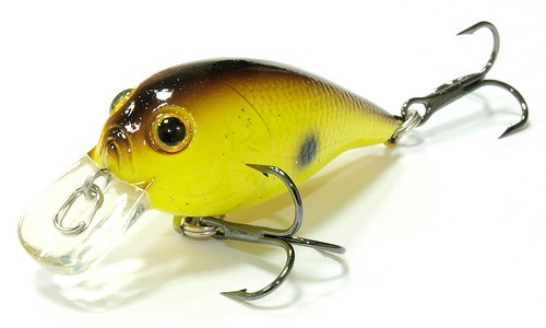Воблер Lucky Craft Bevy crank 45 SR 112 chartreuse rootbeer - фото 1