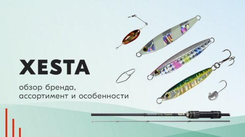 Xesta: обзор бренда, ассортимент и особенности