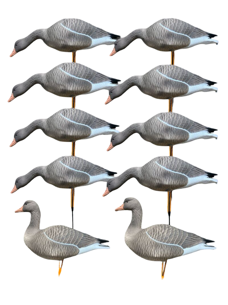 Чучело Oscar Decoys Серый гусь Greylag Goose мягкий пластик 10 шт 8+2 EG10 - фото 1