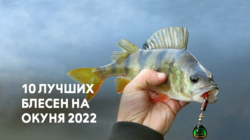 10 лучших блёсен на окуня 2022