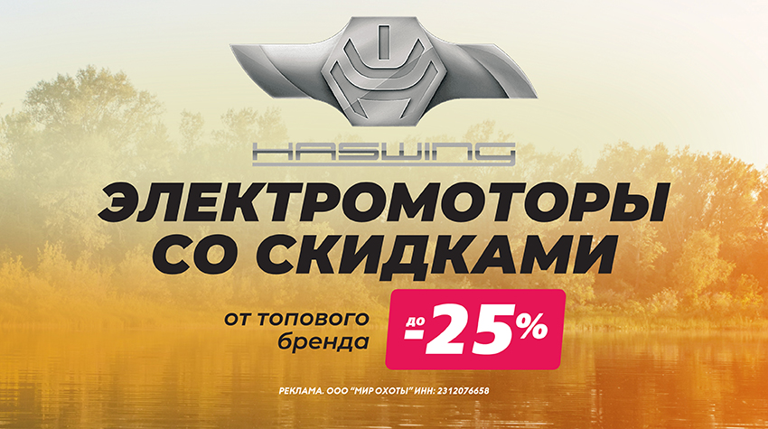 Моторы Haswing со скидкой до -50% — ловите момент!