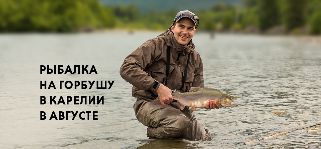 Ловим горбушу в Карелии в августе: сроки, места, что взять с собой